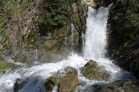 el bullidor de la llet|El Bullidor de la Llet a Bagà